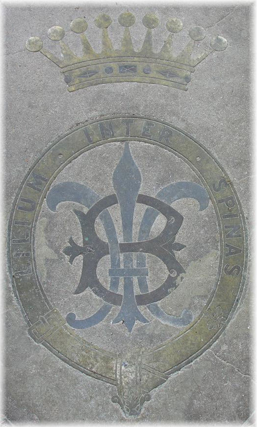 Ce blason que nous avons tant foul� en allant chercher notre go�ter !